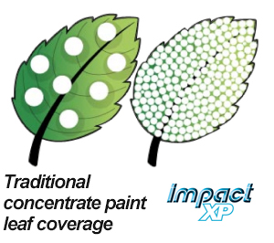 swancorp-impact-leaf